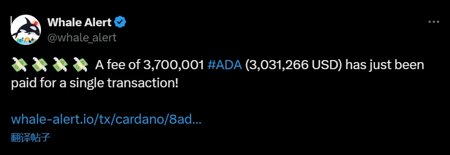 Cardano链上单笔交易手续费达303万美元