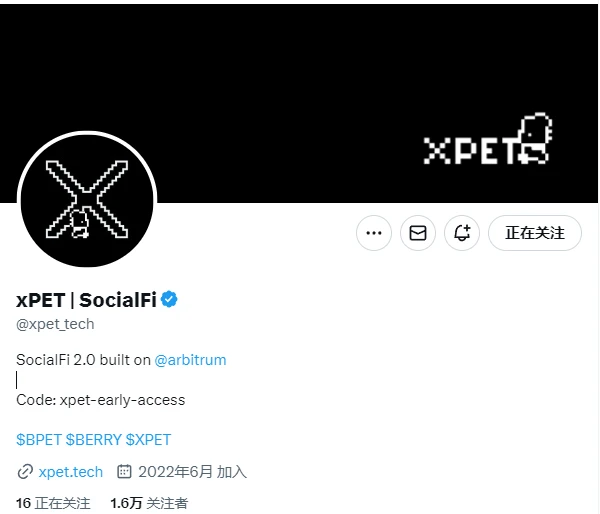 xPet：基于Arbitrum的社交电子宠物游戏革新SocialFi 2.0