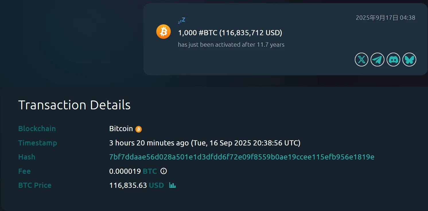 Whale Alert监测：沉睡11.7年比特币地址被激活，持有1,000枚BTC